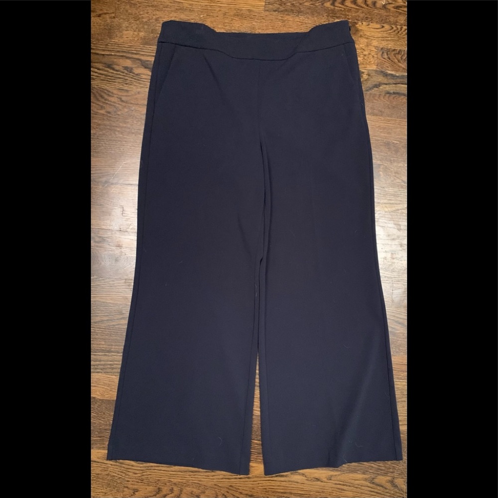 EUC Ann Taylor side zip suit pants